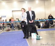 Превью фото № 136896