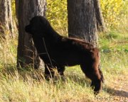 Превью фото № 136968