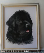 Превью фото № 137046