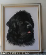 Превью фото № 137048