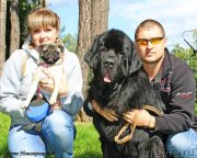 Превью фото № 137135