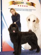 Превью фото № 137145