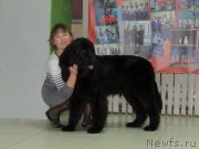 Превью фото № 137183