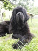 Превью фото № 137221