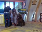 Превью фото № 137225