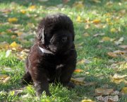 Превью фото № 137250