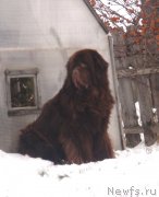 Превью фото № 137278