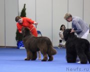 Превью фото № 137283