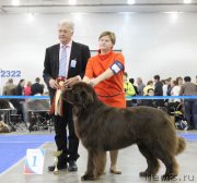 Превью фото № 137286