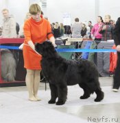 Превью фото № 137291