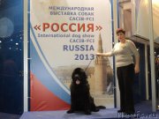 Превью фото № 137293