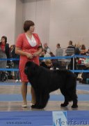 Превью фото № 137330