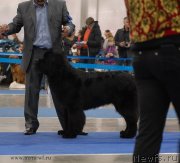 Превью фото № 137332