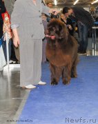 Превью фото № 137370