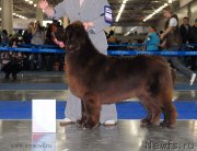 Превью фото № 137373