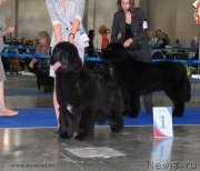 Превью фото № 137374