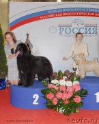 Превью фото № 137388