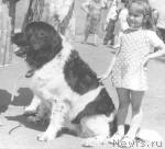 Превью фото № 1374