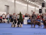 Превью фото № 137415