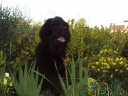 Превью фото № 137535