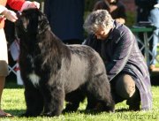 Превью фото № 137562