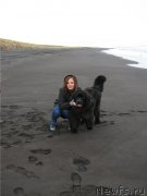 Превью фото № 137573