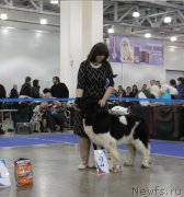 Превью фото № 137585