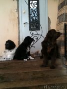 Превью фото № 137633