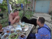 Превью фото № 137688