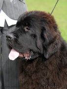 Превью фото № 137699