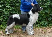 Превью фото № 137705