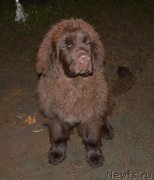 Превью фото № 137726