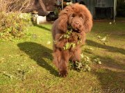 Превью фото № 137727