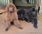 Превью фото № 137735