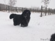 Превью фото № 137818