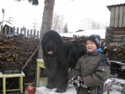 Превью фото № 137843