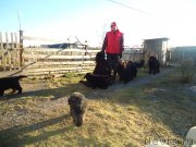 Превью фото № 137888