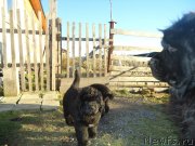 Превью фото № 137889