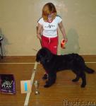 Превью фото № 13796