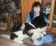 Превью фото № 137988