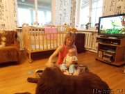 Превью фото № 137998