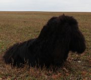 Превью фото № 138056