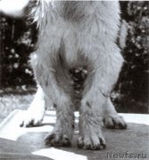 Превью фото № 138060