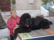 Превью фото № 138062