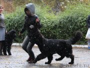 Превью фото № 138065