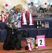 Превью фото № 138077