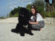 Превью фото № 138078