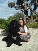 Превью фото № 138080