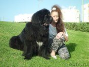 Превью фото № 138081