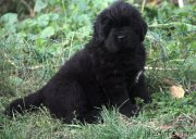 Превью фото № 138087